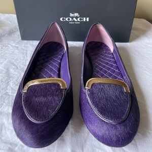 Coach Purple Chelsea Matte Calf Flats box included